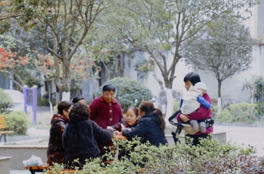 深入社区一线，春耕计划回应老旧院落居民需求