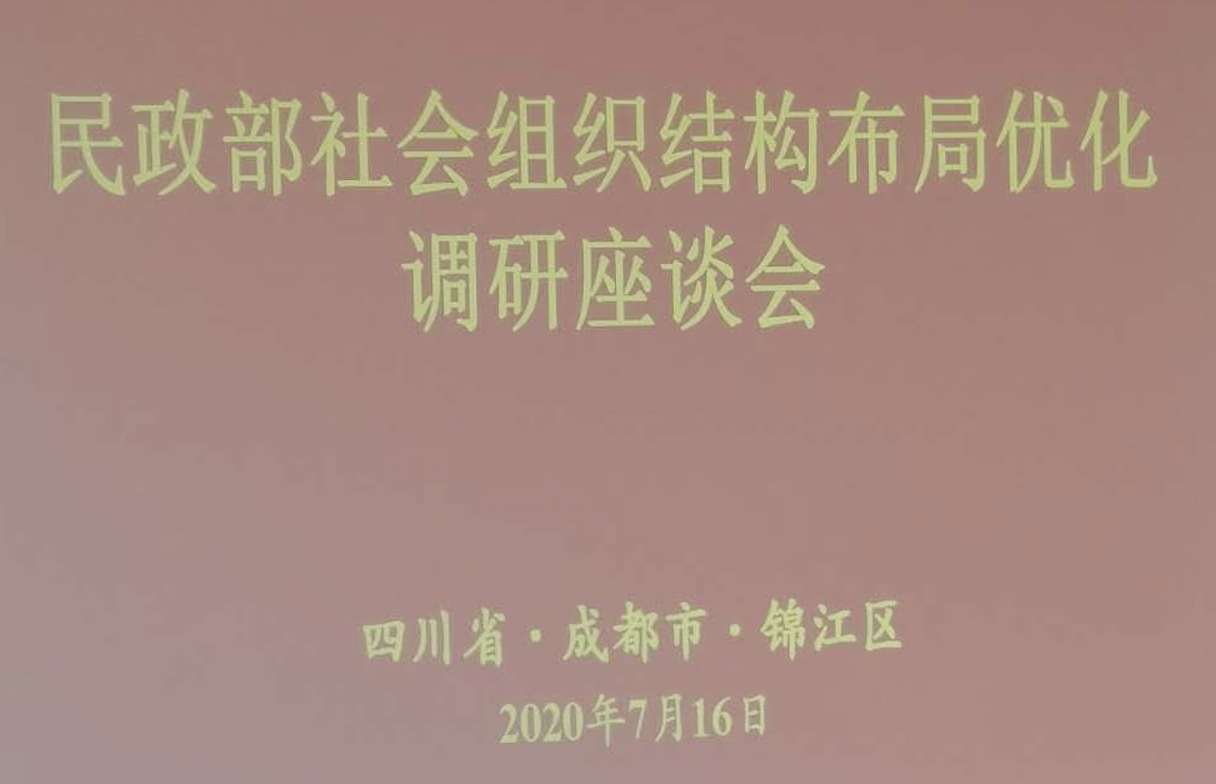 武侯社区发展基金会参加民政部社会组织结构布局优化调研座谈会