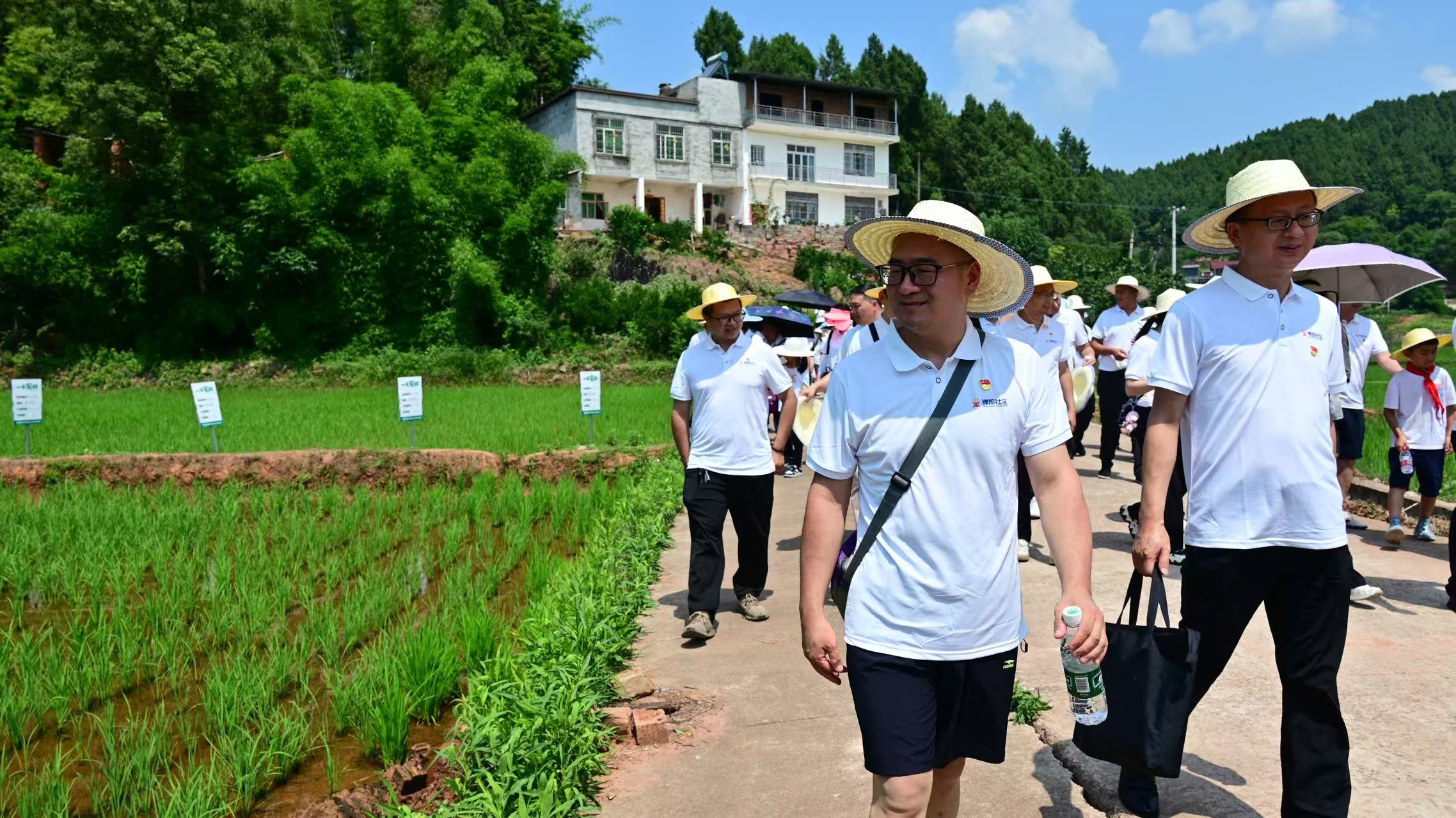 9b06d9cd32da013240199040f7d7816